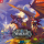 CENEGA World of Warcraft Dragonflight Alexstrasza Puzzle 1000 - 1124841 - zdjęcie 2